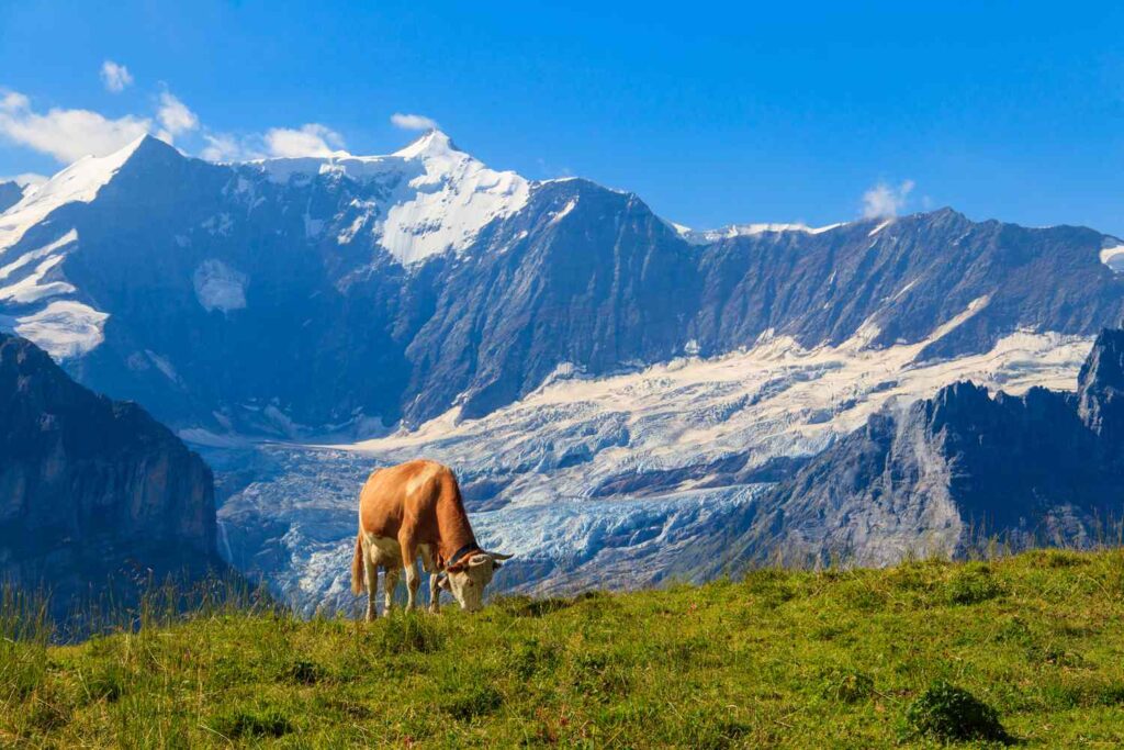 TAL-swiss-national-park-PLACESSWITZERLAND1023-a9bcfae7dfb444228ea44ce9b224669d-1024x683 🇨🇭 Swiss Scenic Route Itinerary (7 Days)